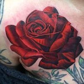 Chris Burke's photo