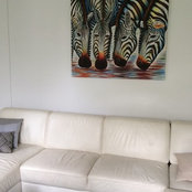 Jeannie Macdonald's photo