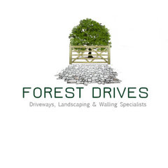 Forest Drives