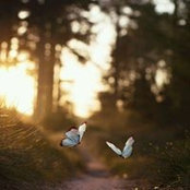 Eptehal Fawzey's photo