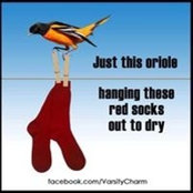 Josh Clow's photo