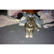 Randi Hightower's photo