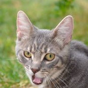 Kathryn Hames's photo