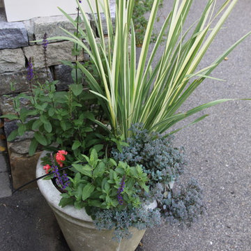 Seasonal Container Plantings & Changeovers