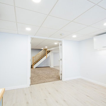 Bright and Spacious Basement