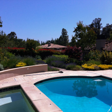 Mediterranean Estate Garden