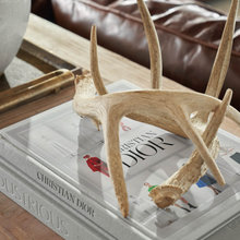 Office Bookshelves