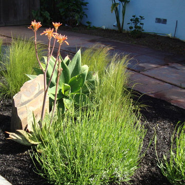 Deer Resistant Gardens
