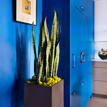 Art Lover's Colorful Condo Remodel