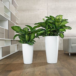 Rondo Premium 32 - Outdoor Decor