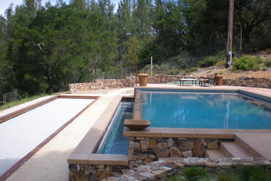 Pool - contemporary pool idea in San Francisco