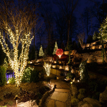 Alpharetta, GA Christmas Lighting Project