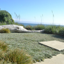 Shawness Garden