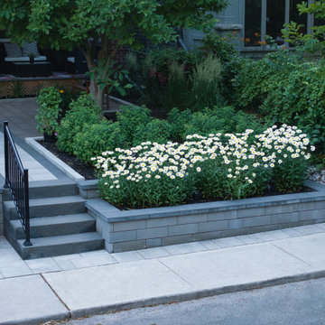Front Yard Transformation