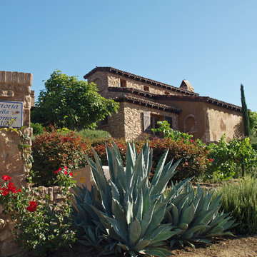 Wine Country