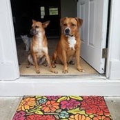 Tracy Coale's photo