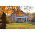Building 313's profile photo