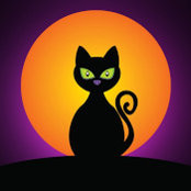 blackyboom .s billede