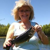 Sue Collins's photo