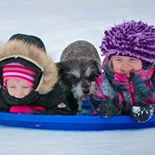 Foto von Joann Gaudet
