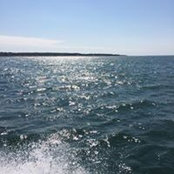 Janine Lefebvre's photo