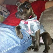 Curtis Hubbard's photo