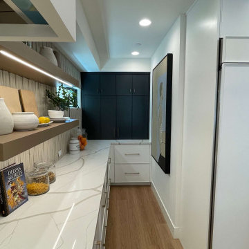 166 - Newport Beach - Design-Build modern Kitchen and Home Remodel