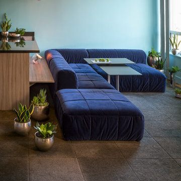 Electric Zen Garden