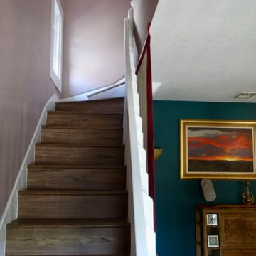 Emergency Mold Mitigation Rainbow House Repaint