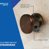 Steamspa Royal Control Kit, Oil Rubbed Bronze