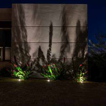 Paradise Pool and Outdoor Living Landscape on Paradise Valley