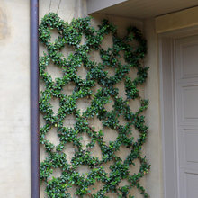 Landscape Ideas