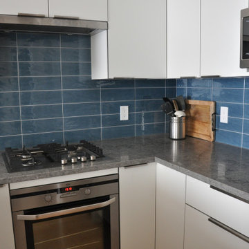 Modern Small Condo Kitchen
