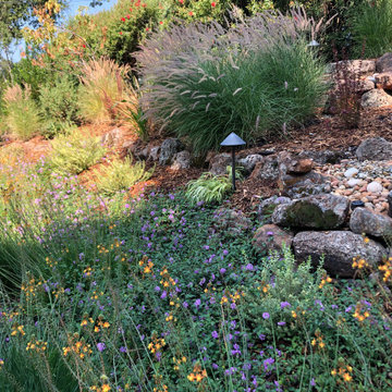 Orinda Oak Forest Landscape and Lighting