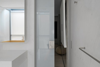 Inspiration for a modern bathroom remodel in New York with a hinged shower door