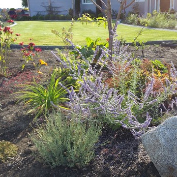 Edible Front Yard