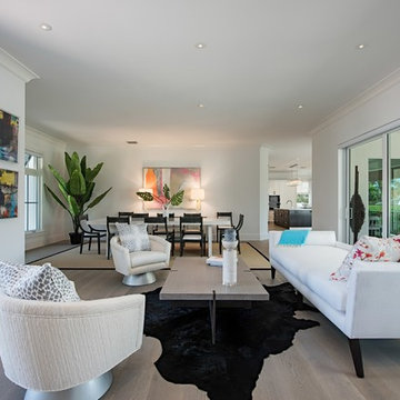 Contemporary Living Room