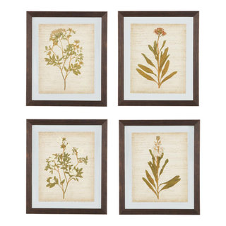 Botanical Study Leaf Berry Flower Wall Art Gold Frame Set Of 6 ~ Uttermost  33651