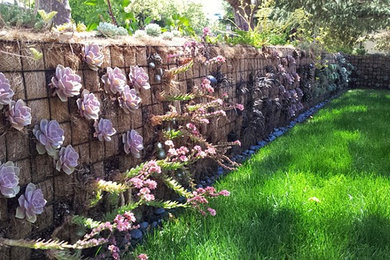 Photo of a large traditional backyard partial sun xeriscape in San Francisco with a vertical garden and gravel.