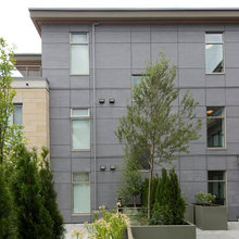 mehrabia's ideas