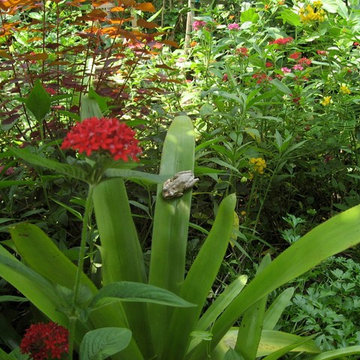 Certified Wildlife Habitat