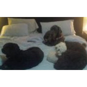 Cherie Taylor's photo