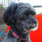 Don Dumais's photo