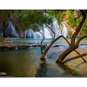 Virginia Melius Crump's photo