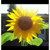 Matthew Pruski's photo