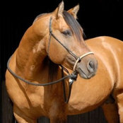 Photo de Sara