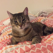 Jenna Mattingly's photo