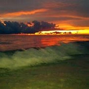 Lana Saugrich's photo