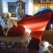 Paula J Schuh's photo