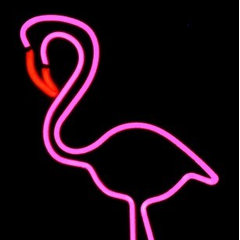 Pink Flamingo interiors